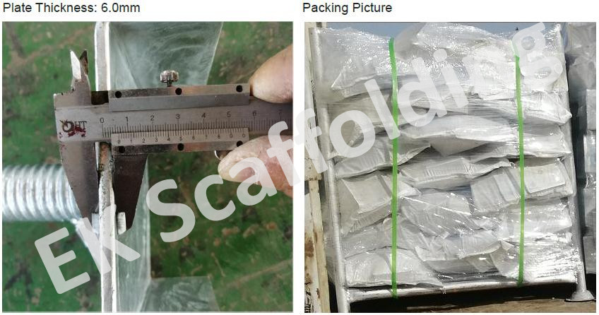 Show de placa base 04