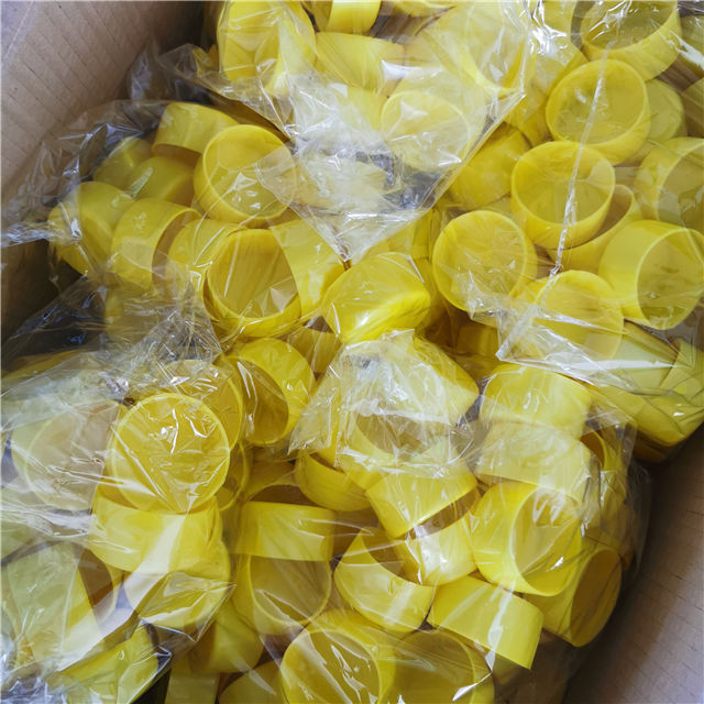 Mostra 08 da tampa final