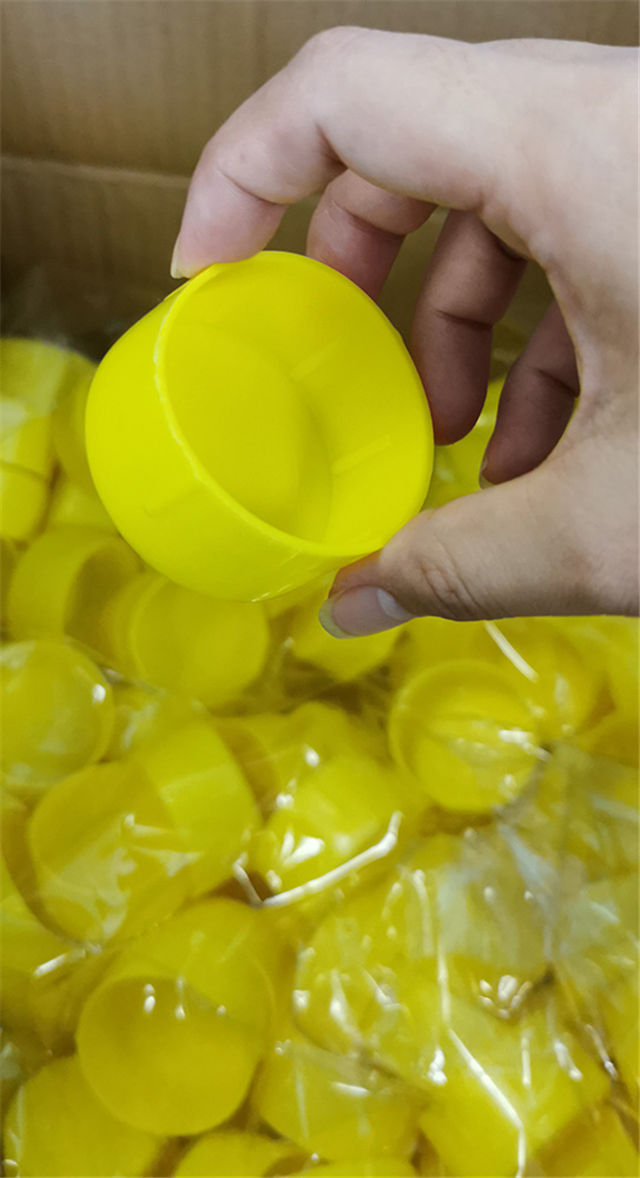 Mostra 01 da tampa final