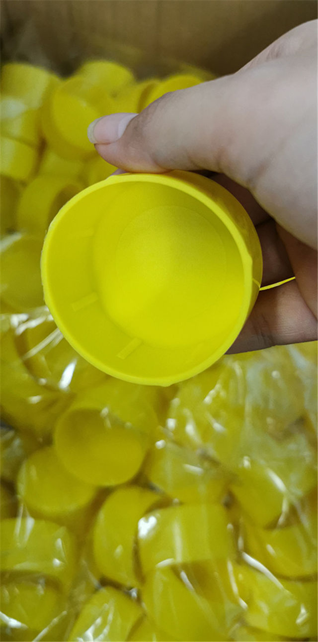 Mostra 02 da tampa final