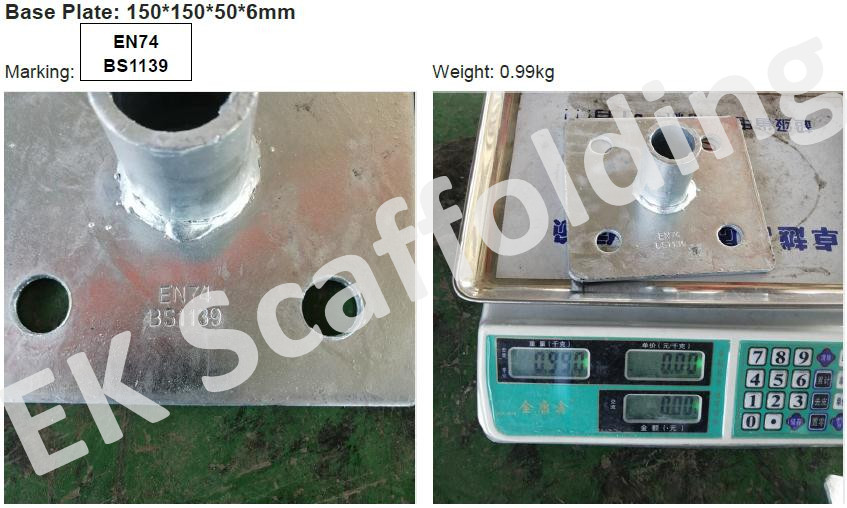 Placa base Mostrar 01