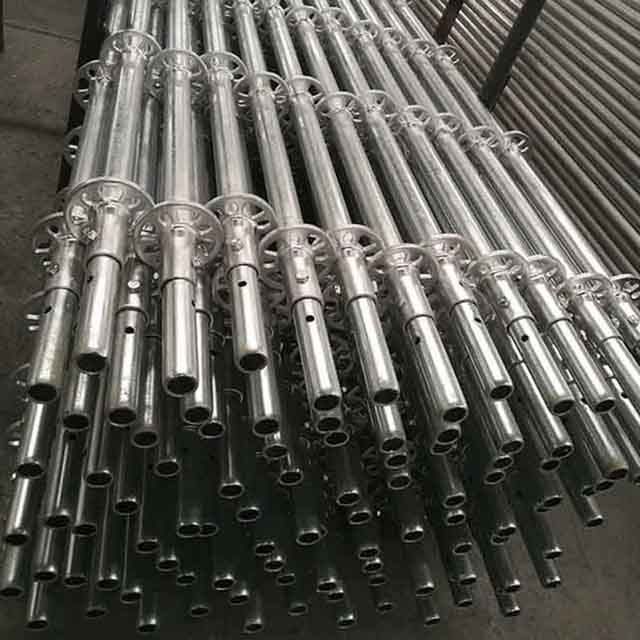 Ringlock Standing Standard