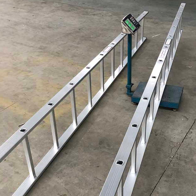 W390 Scaffolding Aluminium Vertical Ladder