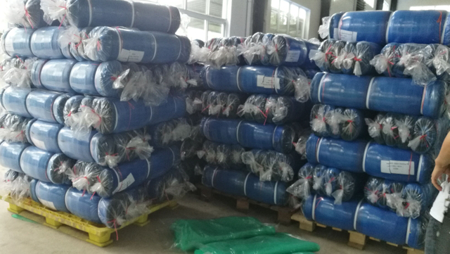 Factory BS de alta qualidade Staffolding Net