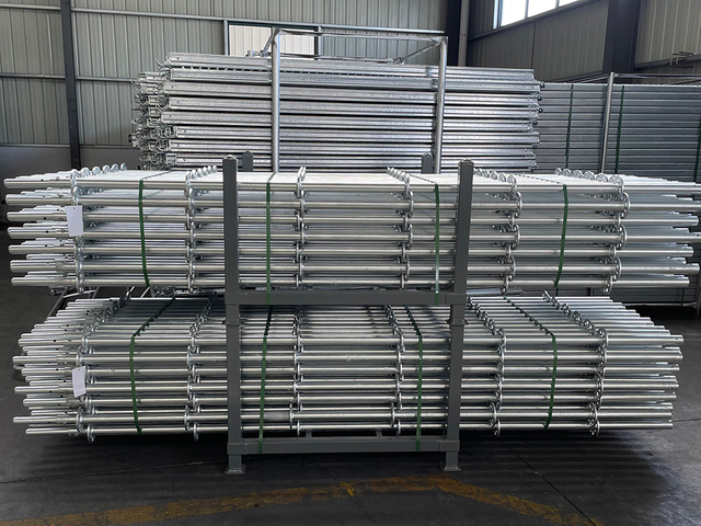 Ringlock Standing Standard